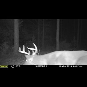 Meet your Posher, Shane